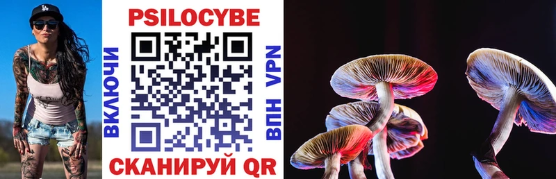 Псилоцибиновые грибы GOLDEN TEACHER  Бирюч 