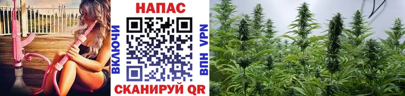 blacksprut ссылка  Бирюч  Марихуана планчик  где можно купить  